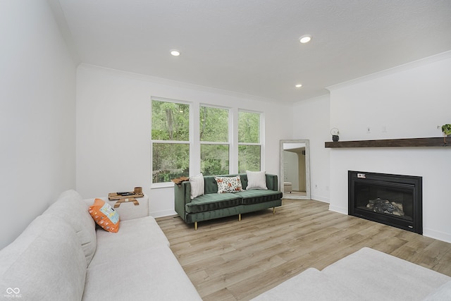 1510 Stonehaven Dr, Westfield, IN 46074 - living area featuring ornamental molding, wood finished floors, a glass covered fireplace, recessed lighting, and baseboards