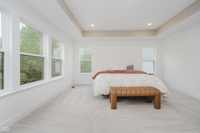 1510 Stonehaven Dr, Westfield, IN 46074 - bedroom featuring light carpet, baseboards, a tray ceiling, and recessed lighting