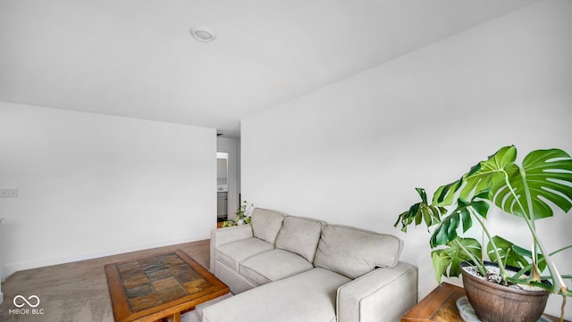 7226 Sayers Rd, Indianapolis, IN 46259 - living room with baseboards and carpet floors