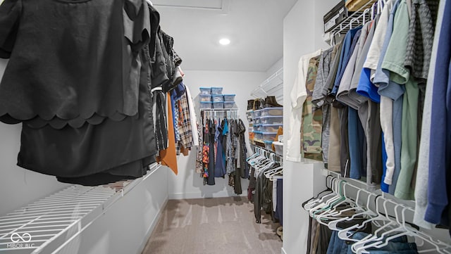 7226 Sayers Rd, Indianapolis, IN 46259 - spacious closet with carpet floors