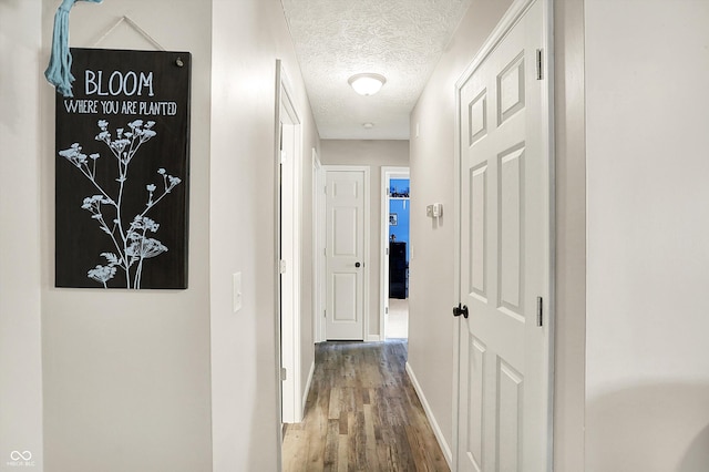 200 Forum Dr, Whiteland, IN 46184 - corridor with a textured ceiling, wood finished floors, and baseboards