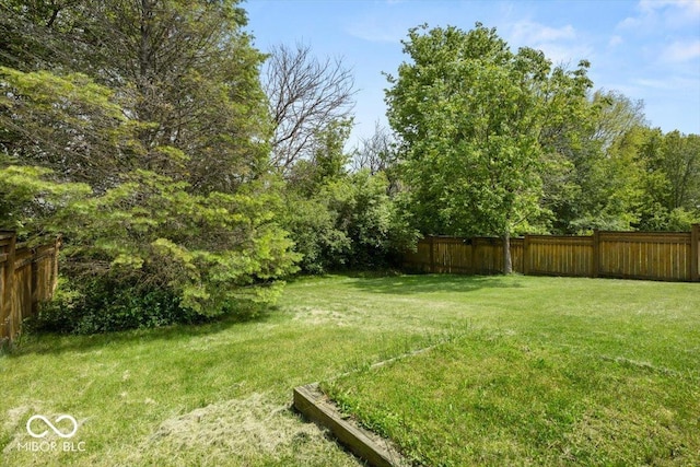 8446 S Paddleboat Ln, Pendleton, IN 46064 - view of yard