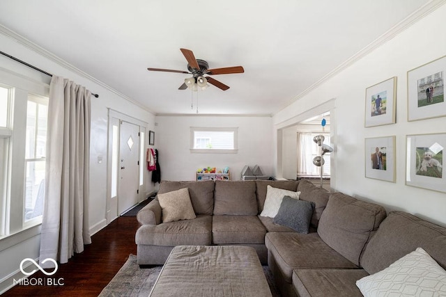3934 N Kenwood Ave, Indianapolis, IN 46208 - living room featuring dark wood finished floors, ceiling fan, ornamental molding, and baseboards