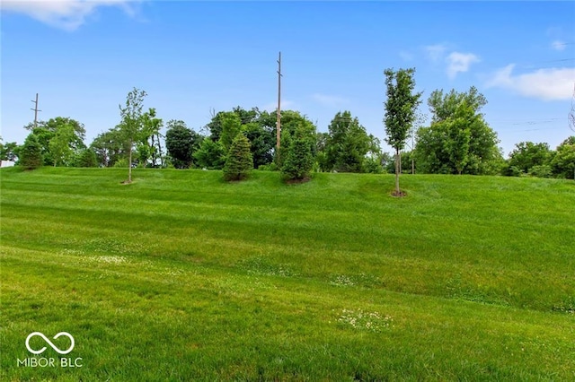 14350 Ludwell Ct, Fishers, IN 46037 - view of home's community with a lawn