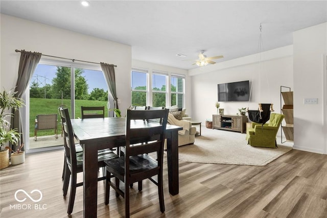 14350 Ludwell Ct, Fishers, IN 46037 - dining room with light wood-style flooring, a ceiling fan, and recessed lighting