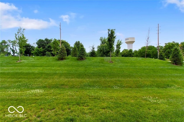 14350 Ludwell Ct, Fishers, IN 46037 - view of grassy yard