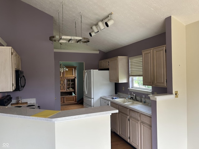 11014 Lake Run Dr, Fishers, IN 46038 - kitchen featuring a sink, black microwave, range with electric cooktop, freestanding refrigerator, and light countertops