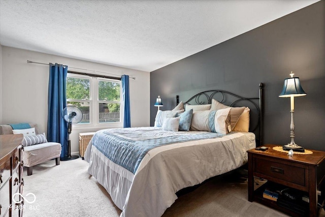 11041 Limbach Cir, Indianapolis, IN 46236 - bedroom featuring light carpet, a textured ceiling, and radiator heating unit