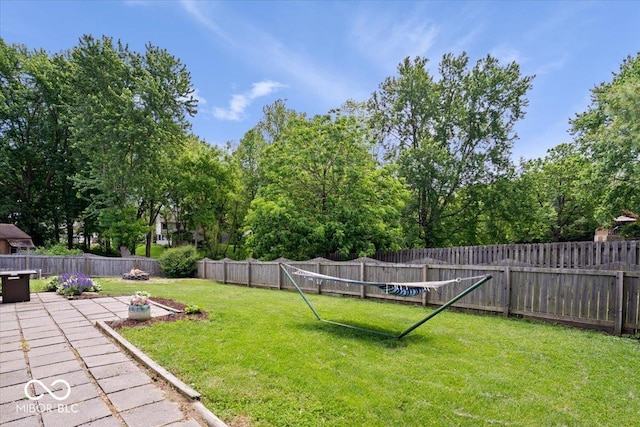 11041 Limbach Cir, Indianapolis, IN 46236 - view of yard with a patio