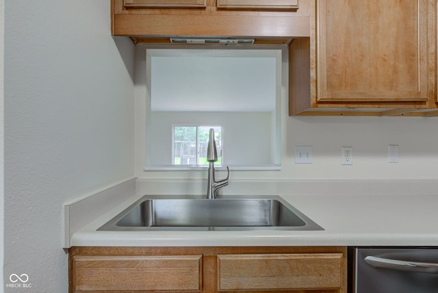 8684 Captain Dr, Avon, IN 46123 - kitchen view of dishwasher, a sink, and light countertops