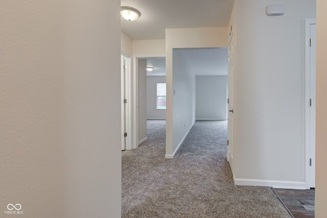8684 Captain Dr, Avon, IN 46123 - corridor with carpet and baseboards
