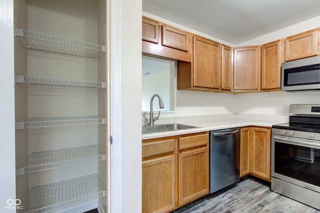 8684 Captain Dr, Avon, IN 46123 - kitchen featuring stainless steel appliances, a sink, light wood finished floors, and light countertops