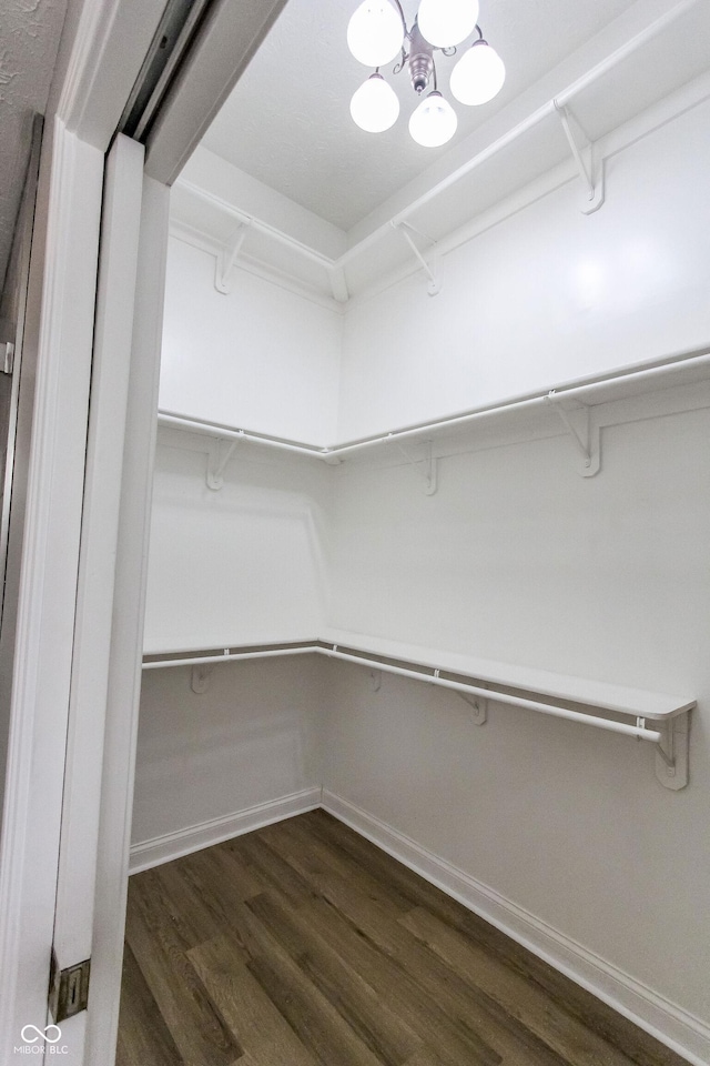 7093 Republic Ln, Indianapolis, IN 46259 - walk in closet featuring dark wood-style flooring and a chandelier