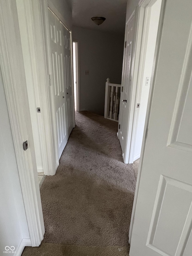 213 Golf Ct, Greenwood, IN 46143 - corridor featuring carpet and an upstairs landing