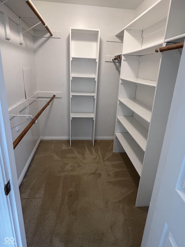 213 Golf Ct, Greenwood, IN 46143 - walk in closet featuring carpet floors