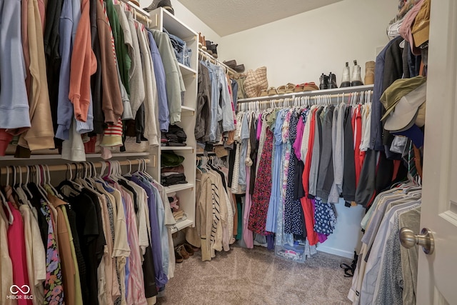 19144 Goins Blvd, Westfield, IN 46074 - walk in closet featuring carpet flooring