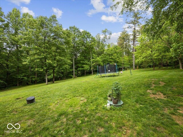 6792 Erika Ln, Nashville, IN 47448 - photo 36