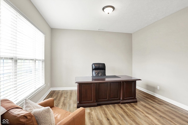 4602 Hayward Way, Westfield, IN 46062 - home office featuring plenty of natural light, light wood-style flooring, and baseboards