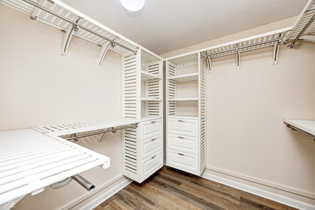 1306 Flat Wood Ct, Brownsburg, IN 46112 - spacious closet featuring dark wood finished floors