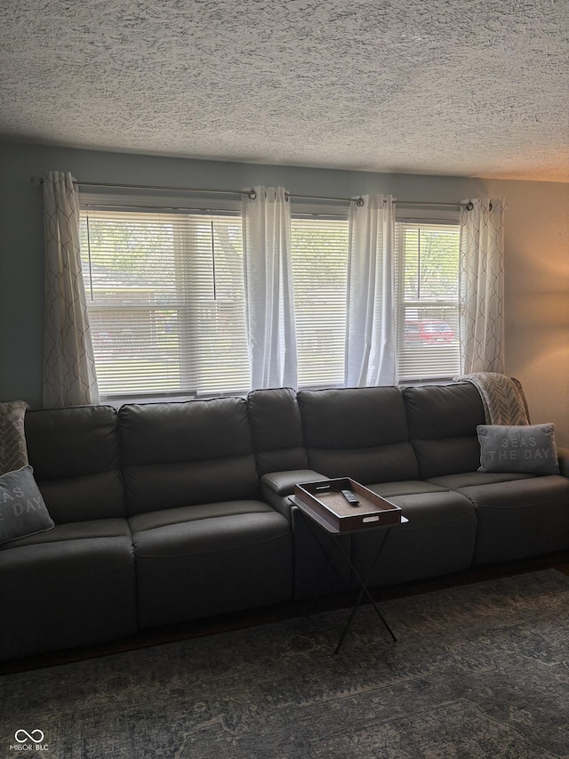 3031 W 18th St, Indianapolis, IN 46222 - living room featuring a textured ceiling
