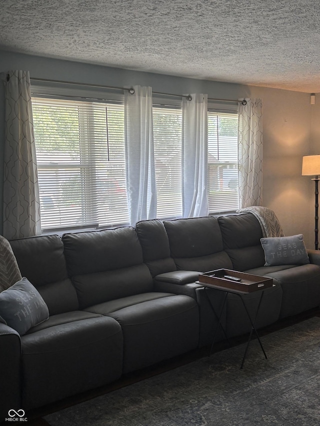 3031 W 18th St, Indianapolis, IN 46222 - carpeted living room featuring a textured ceiling