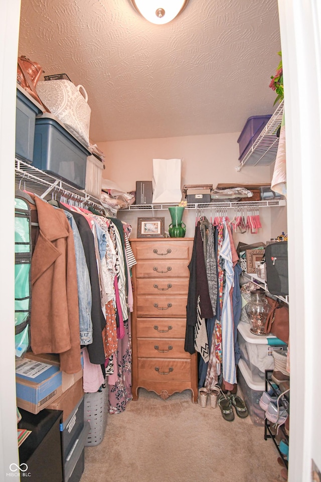 60 Bittersweet Ct, Seymour, IN 47274 - walk in closet featuring carpet