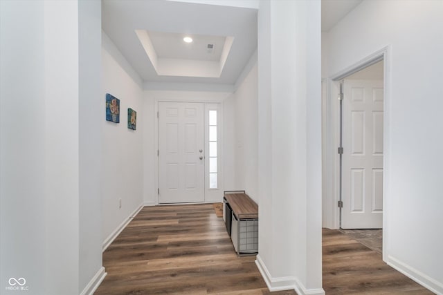 5304 Maywood Dr, Whitestown, IN 46075 - entrance foyer with a raised ceiling, dark wood-style floors, and baseboards