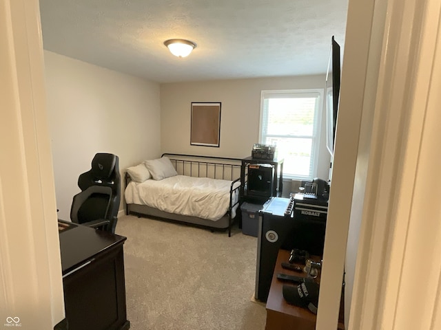 425 Bridgewater Ln S, Muncie, IN 47304 - bedroom with carpet
