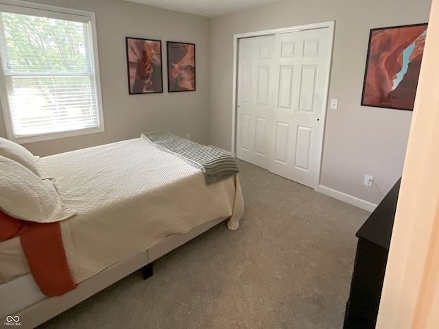 425 Bridgewater Ln S, Muncie, IN 47304 - bedroom with carpet floors, a closet, and baseboards