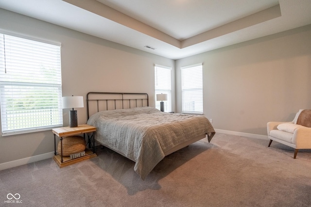 9741 Haughton Ln, Mccordsville, IN 46055 - bedroom with carpet flooring, multiple windows, and a raised ceiling