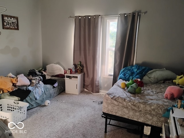 639 N Hamilton Ave, Indianapolis, IN 46201 - bedroom with light colored carpet and multiple windows