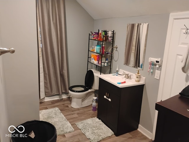 639 N Hamilton Ave, Indianapolis, IN 46201 - full bathroom featuring vanity, wood finished floors, toilet, curtained shower, and lofted ceiling