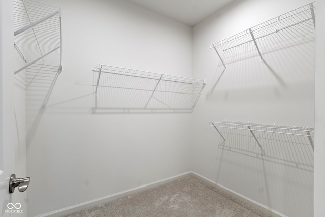7248 Covington St, Lebanon, IN 46052 - walk in closet with carpet flooring