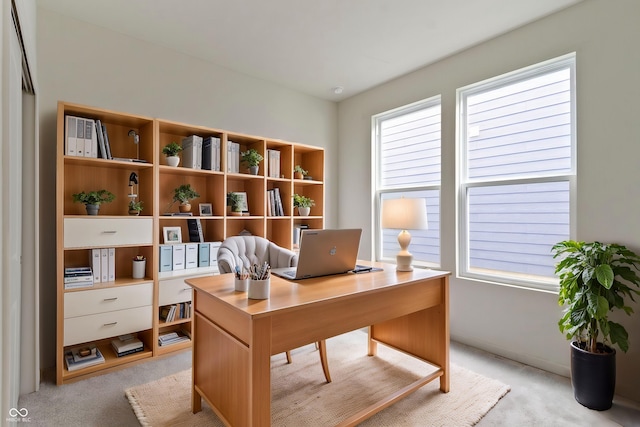 7248 Covington St, Lebanon, IN 46052 - office featuring light carpet