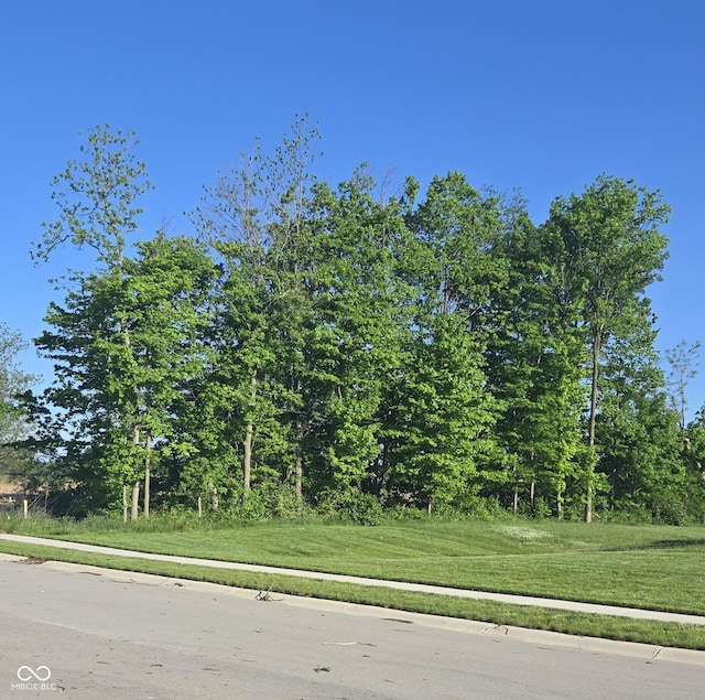 7248 Covington St, Lebanon, IN 46052 - view of asphalt road featuring sidewalks and curbs