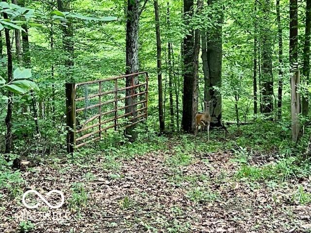 6774 S Becks Grove Rd, Freetown, IN 47235 - view of undeveloped land