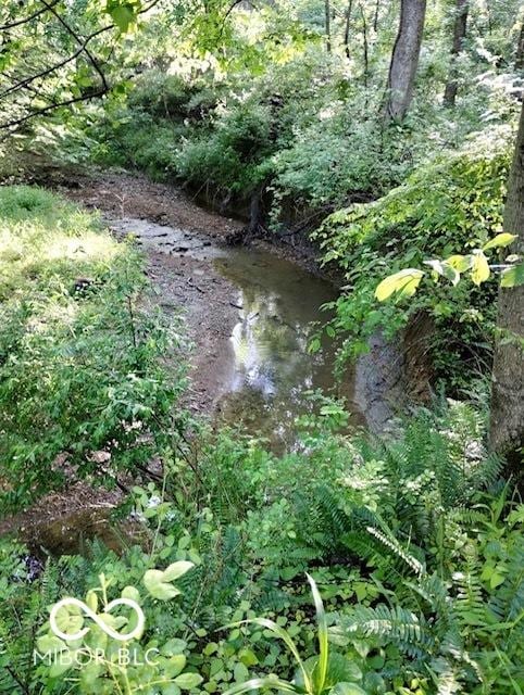 6774 S Becks Grove Rd, Freetown, IN 47235 - view of nature