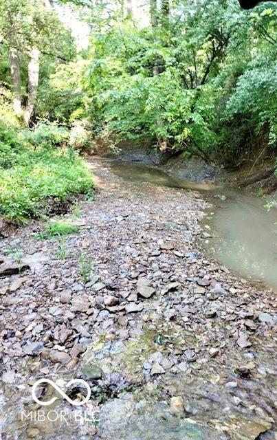 6774 S Becks Grove Rd, Freetown, IN 47235 - view of undeveloped land