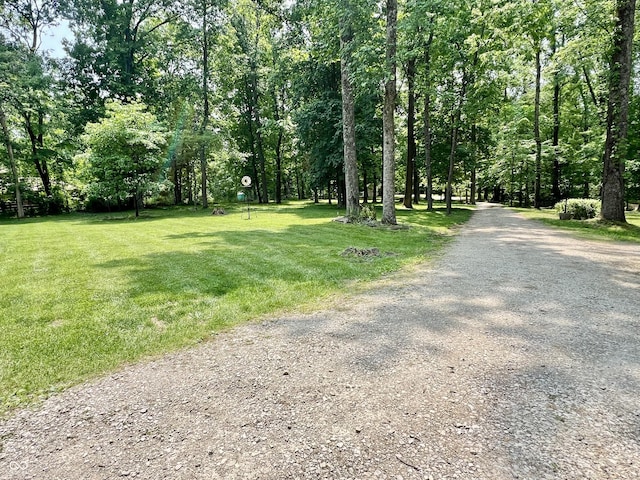 6774 S Becks Grove Rd, Freetown, IN 47235 - view of dirt / gravel road