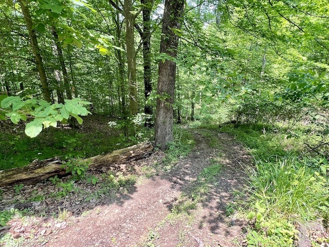 6774 S Becks Grove Rd, Freetown, IN 47235 - view of woods