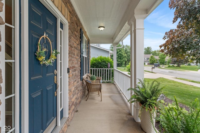 9756 Brook Meadow Dr, Mccordsville, IN 46055 - view of porch