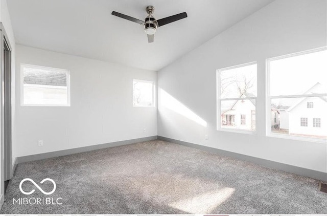 1001 Harlan St, Indianapolis, IN 46203 - photo 22