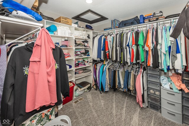 28 Patriot Ct, Greenfield, IN 46140 - spacious closet featuring carpet flooring