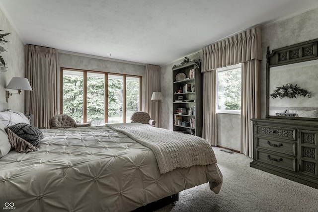 8905 Washington Blvd W Drive, Indianapolis, IN 46240 - bedroom featuring multiple windows and carpet flooring