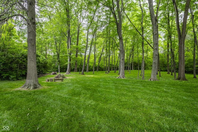 8905 Washington Blvd W Drive, Indianapolis, IN 46240 - view of grassy yard