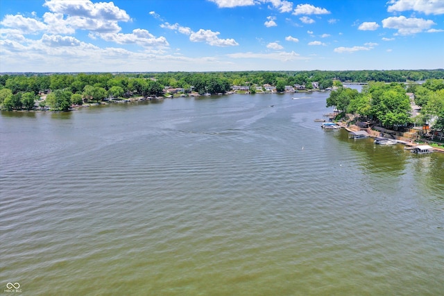 1240 Stringtown Pike, Cicero, IN 46034 - water view featuring a dock