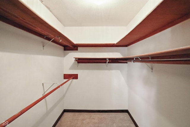 25420 Jerkwater Rd, Sheridan, IN 46069 - spacious closet featuring carpet