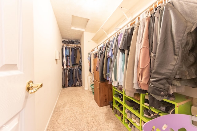 977 Canary Creek Dr, Franklin, IN 46131 - walk in closet with carpet floors