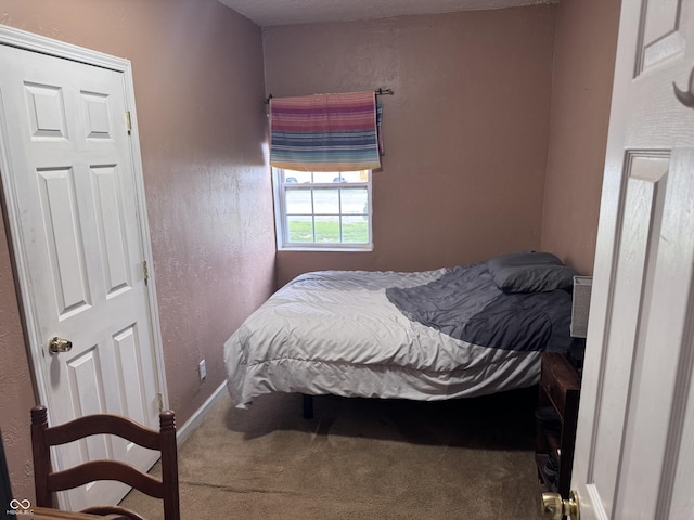 2208 S F St, Elwood, IN 46036 - bedroom with carpet flooring, baseboards, and a textured wall