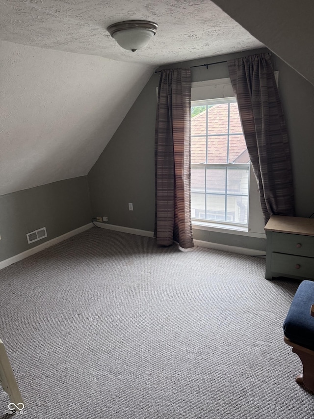 2208 S F St, Elwood, IN 46036 - bonus room with a textured ceiling, lofted ceiling, baseboards, and carpet floors